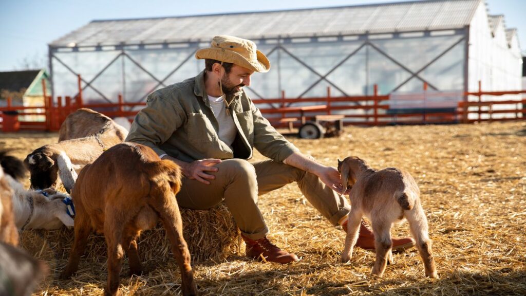 Cattle Investing—The Wild But Lucrative Way To Grow Your Wealth!